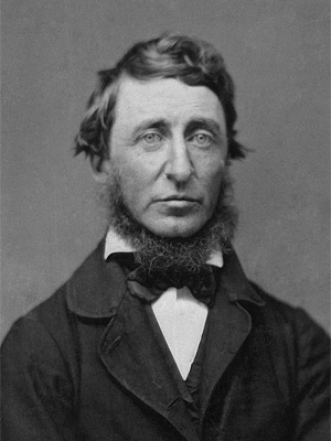 Frases de Henry David Thoreau