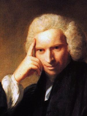 Frases de Laurence Sterne