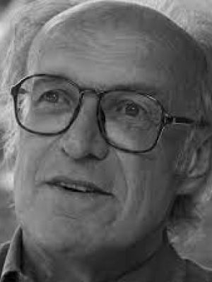 Frases de Mario Andrea Rigoni