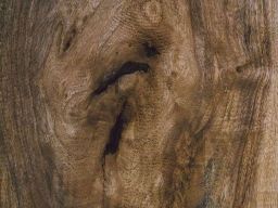 Frasi sui difetti Frasi sui difetti