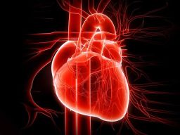 Frasi sul Cuore Frasi sul Cuore