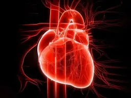 Frasi sul Cuore