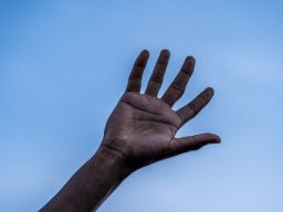 Frasi sul Razzismo Frasi sul Razzismo