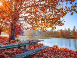 Frasi sull’Autunno