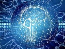 Frasi sull’intelligenza Frasi sull’intelligenza