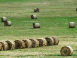 Frasi sull’ordine Frasi sull’ordine