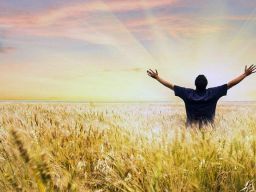 Frasi sulla Abbondanza Frasi sulla Abbondanza