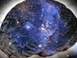 Frasi sulla coscienza Frasi sulla coscienza