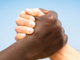 Frasi sulla diversità Frasi sulla diversità