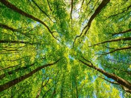 Frasi sulla Natura Frasi sulla Natura