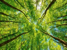 Frasi sulla Natura