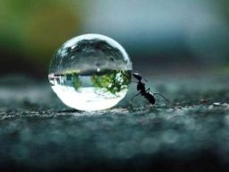 Frasi sulla Perseveranza