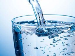 Frasi sulla Purezza Frasi sulla Purezza