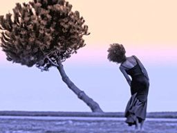 Frasi sulla Resilienza