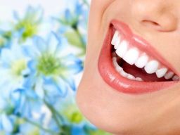 Frasi sulla Vivacità