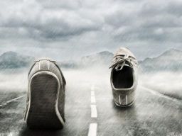 Frasi sulla Volontà Frasi sulla Volontà