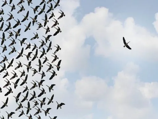 Frasi sull anticonformismo