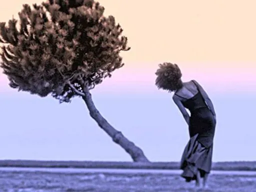 Frasi sulla Resilienza