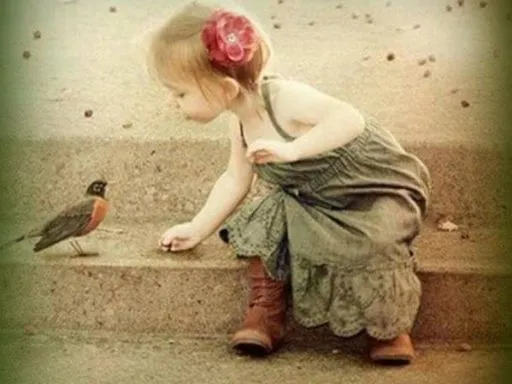 Frasi sulla Semplicità