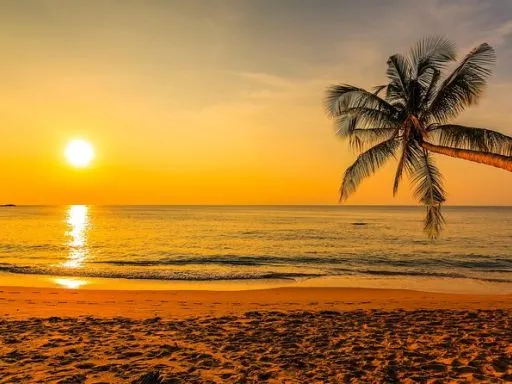 Frasi sulle intenzioni