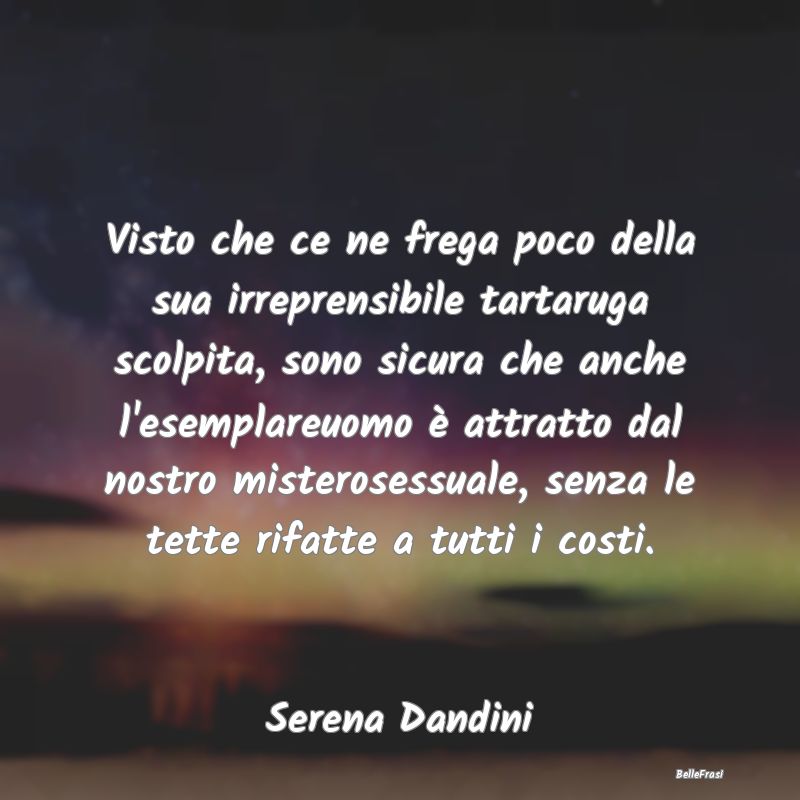 Frasi sull'Attrazione - Visto che ce ne frega poco della sua irreprensibil...
