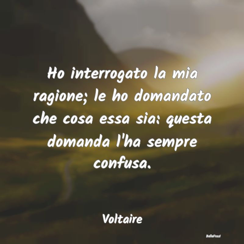 Frasi sulla Stupidità - Ho interrogato la mia ragione; le ho domandato che...