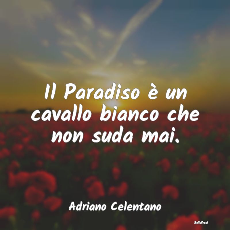 Frasi sui principi - Il Paradiso è un cavallo bianco che non suda mai....