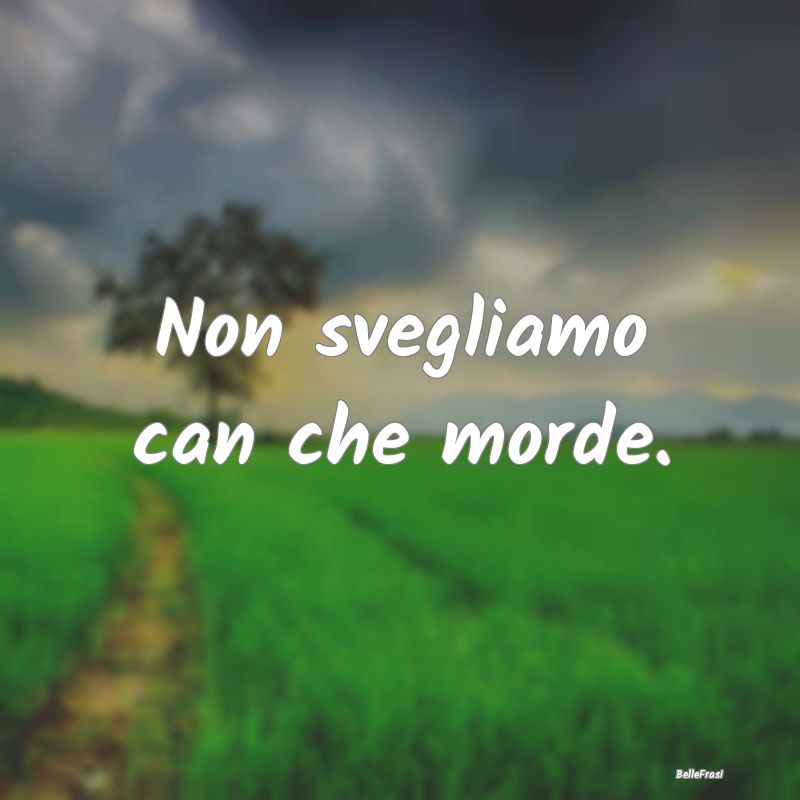 Frasi Prudenza - Non svegliamo can che morde....