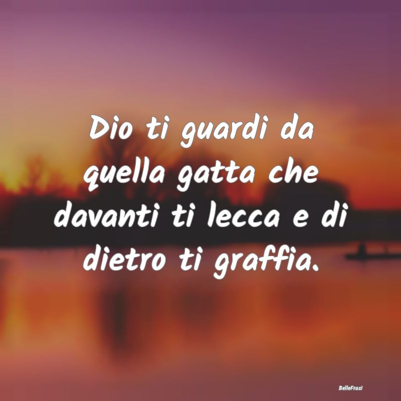 Frasi sull'Adulazione - Dio ti guardi da quella gatta che davanti ti lecca...