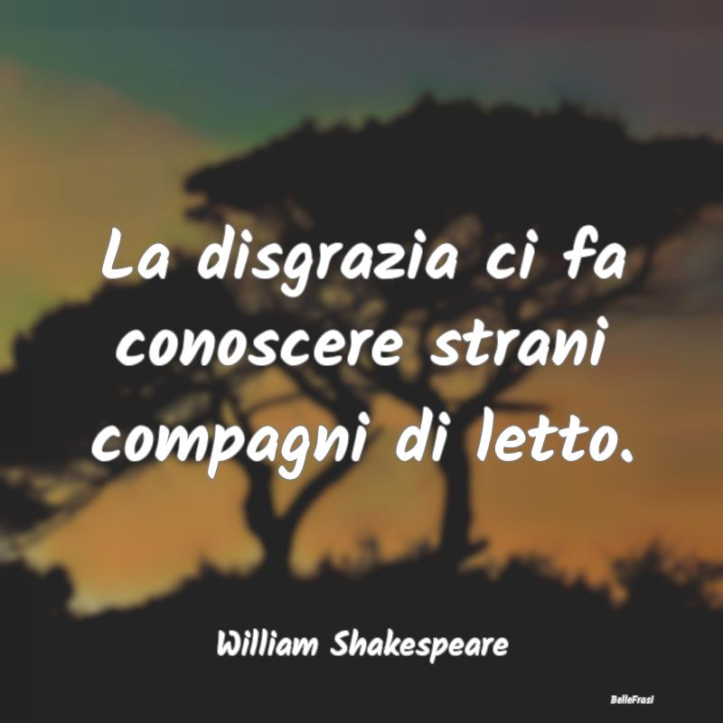 Frasi sulle Disgrazie - La disgrazia ci fa conoscere strani compagni di le...