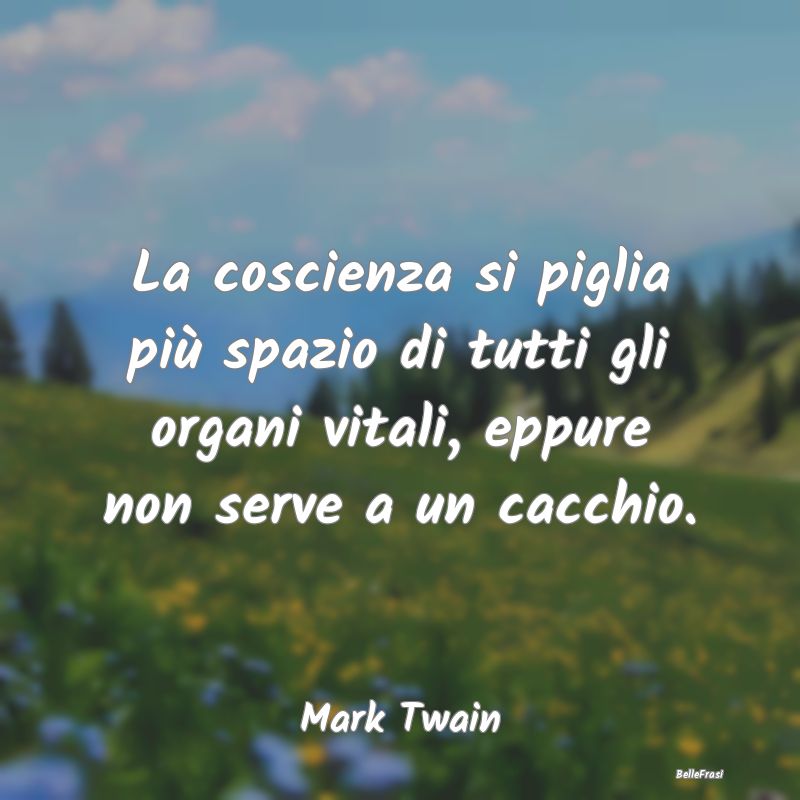 Frasi Coscienza - La coscienza si piglia più spazio di tutti gli or...