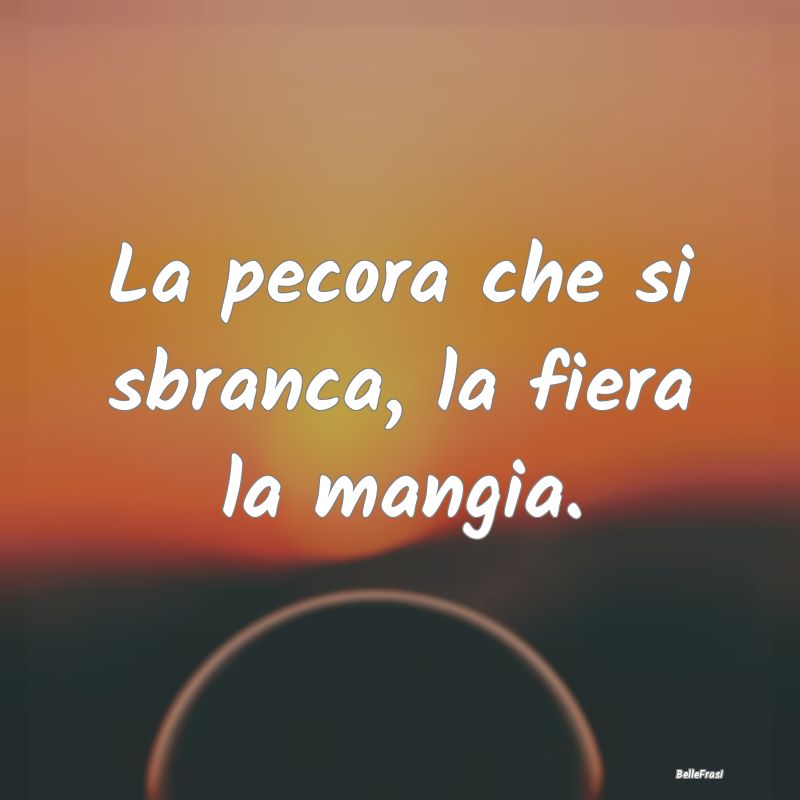 Frasi Prudenza - La pecora che si sbranca, la fiera la mangia....