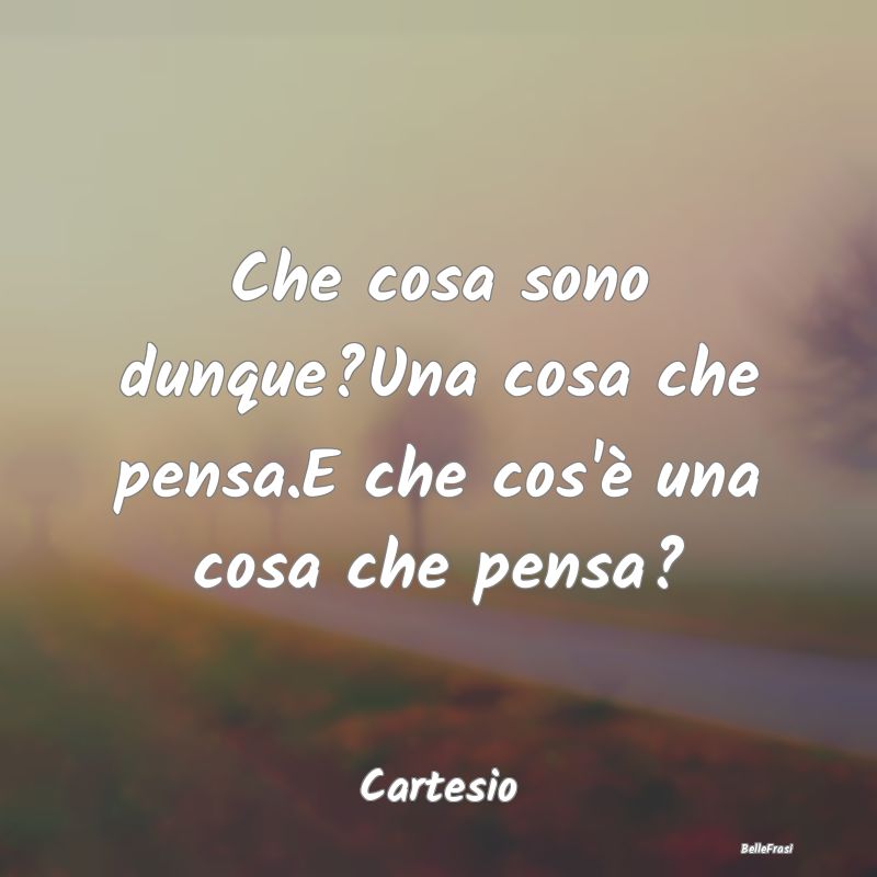 Che cosa sono dunque?Una cosa che pensa.E che cos'...