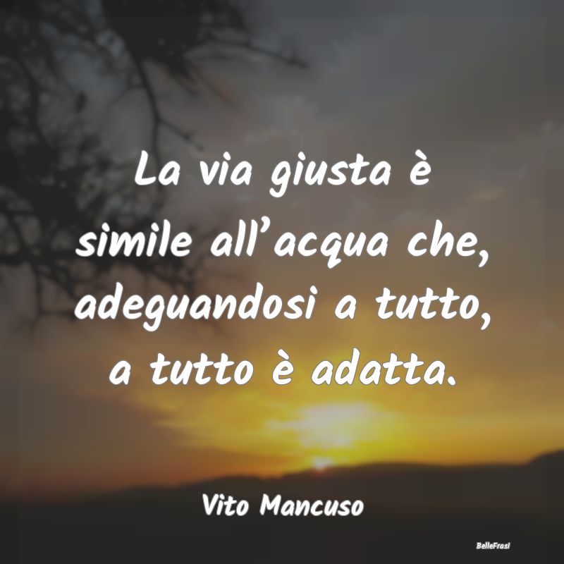 Frasi sull'Adattamento - La via giusta è simile all’acqua che, adeguando...