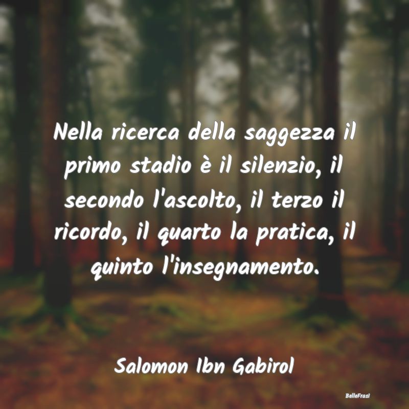 Frasi sulla Saggezza - Nella ricerca della saggezza il primo stadio è il...