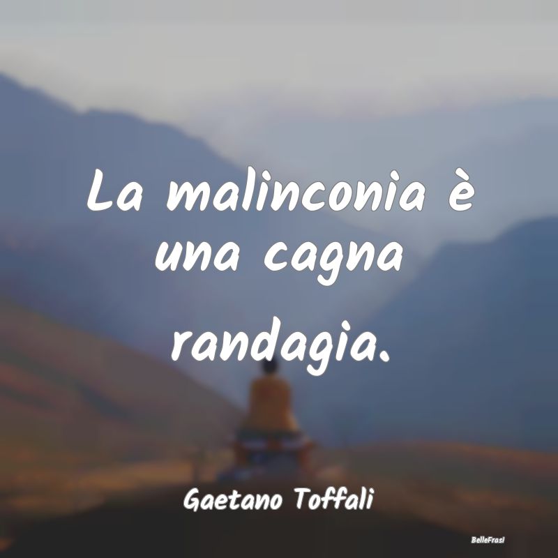 Frasi sulla Tristezza - La malinconia è una cagna randagia....