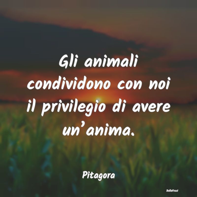 Gli animali condividono con noi il privilegio di a...