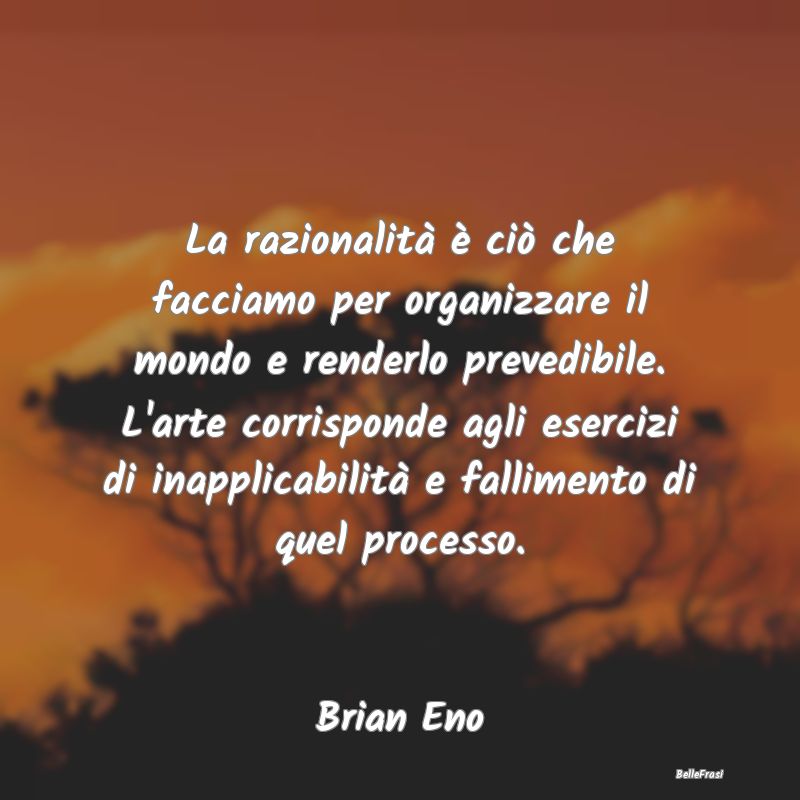 Frasi sull'Irrazionalità - La razionalità è ciò che facciamo per organizza...