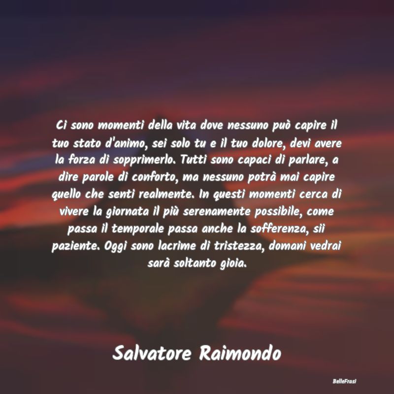 Frasi sulla Tristezza - Ci sono momenti della vita dove nessuno può capir...