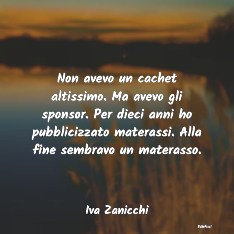 Frasi sullo Stipendio - Non avevo un cachet altissimo. Ma avevo gli sponso...