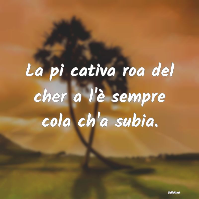 Frasi Apparenza - La pi cativa roa del cher a l'è sempre cola ch'a ...