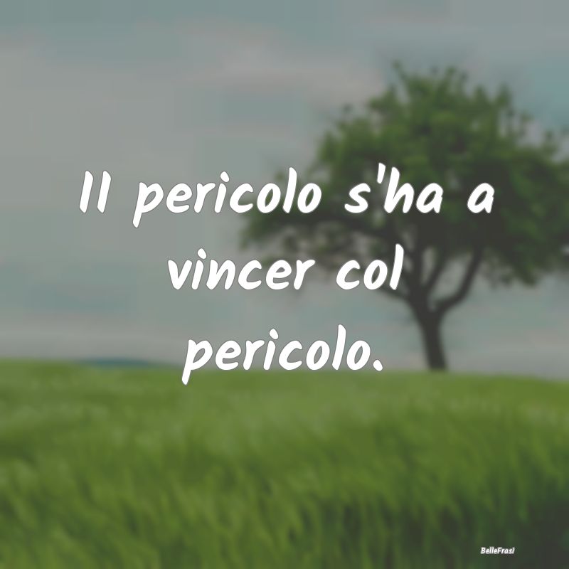 Frasi Prudenza - II pericolo s'ha a vincer col pericolo....