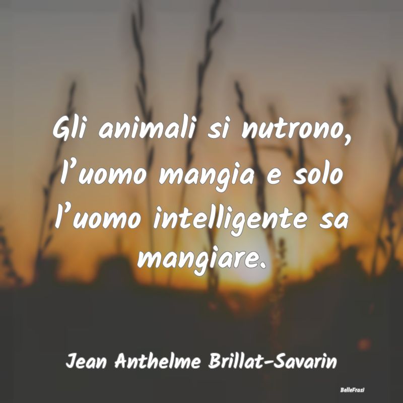 Gli animali si nutrono, l’uomo mangia e solo l�...