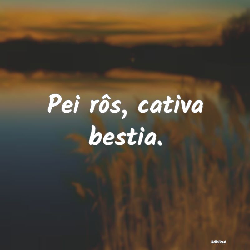 Frasi Apparenza - Pei rôs, cativa bestia....