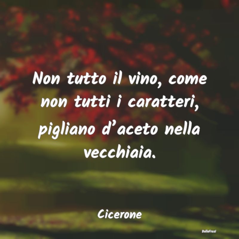 Frasi sulla Saggezza - Non tutto il vino, come non tutti i caratteri, pig...