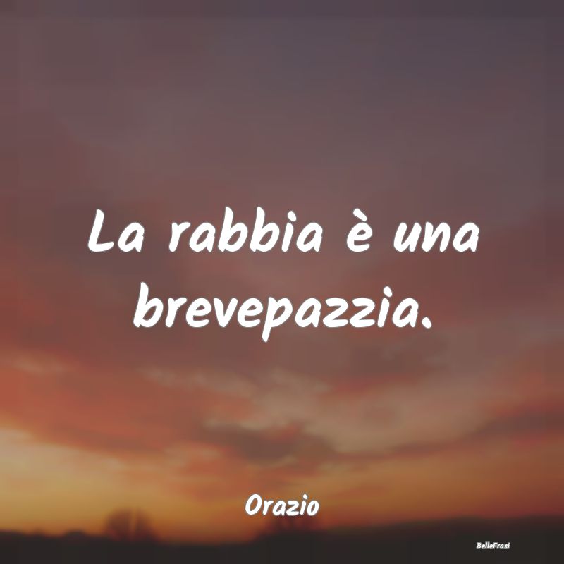 Frasi sulla Rabbia - La rabbia è una brevepazzia....