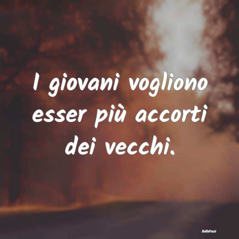 Frasi Prudenza - I giovani vogliono esser più accorti dei vecchi....