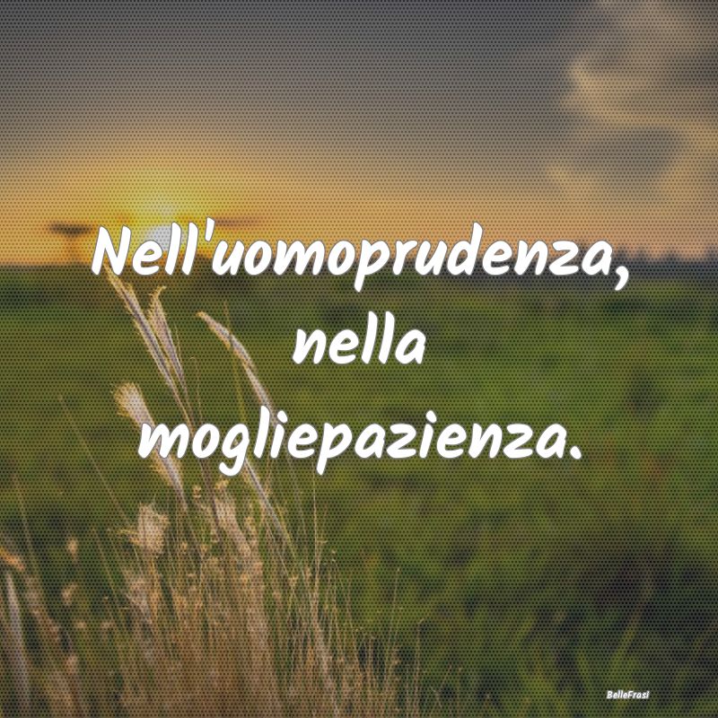 Frasi Prudenza - Nell'uomoprudenza, nella mogliepazienza....