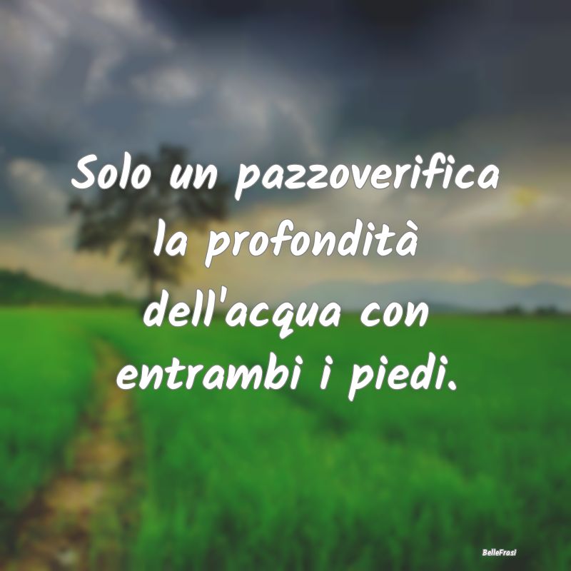 Frasi Prudenza - Solo un pazzoverifica la profondità dell'acqua co...