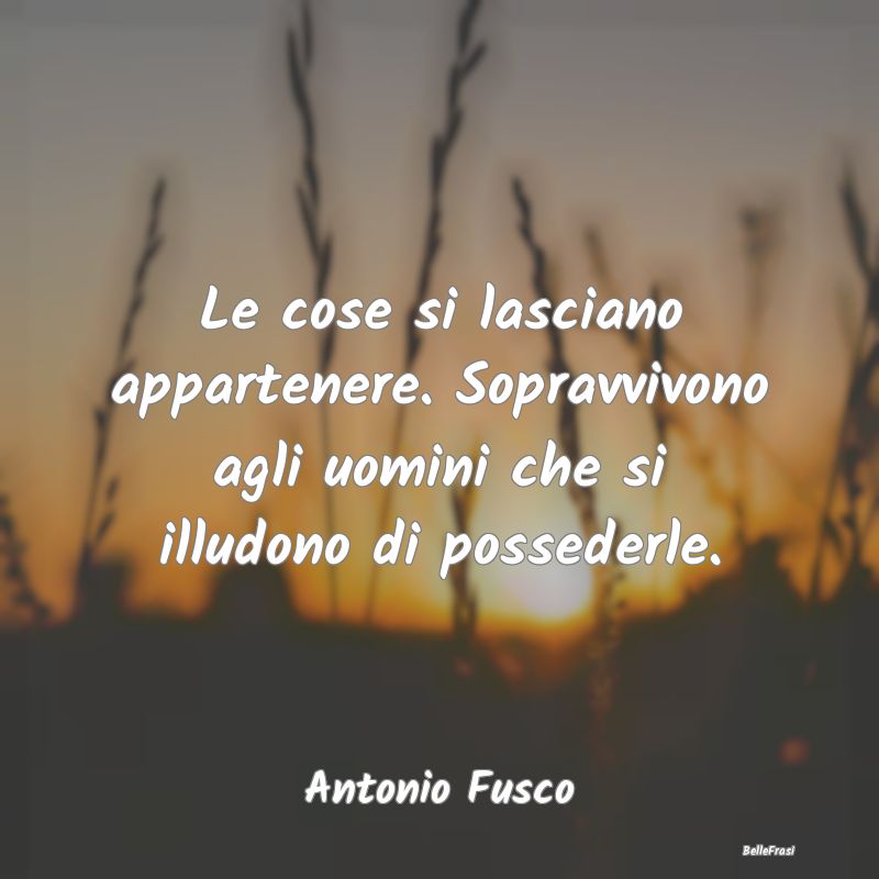 Frasi sul Possesso - Le cose si lasciano appartenere. Sopravvivono agli...